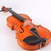 Firefeel S-14844 Violina